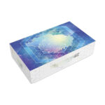pokemon terapagos ex ultra premium collection pok858666